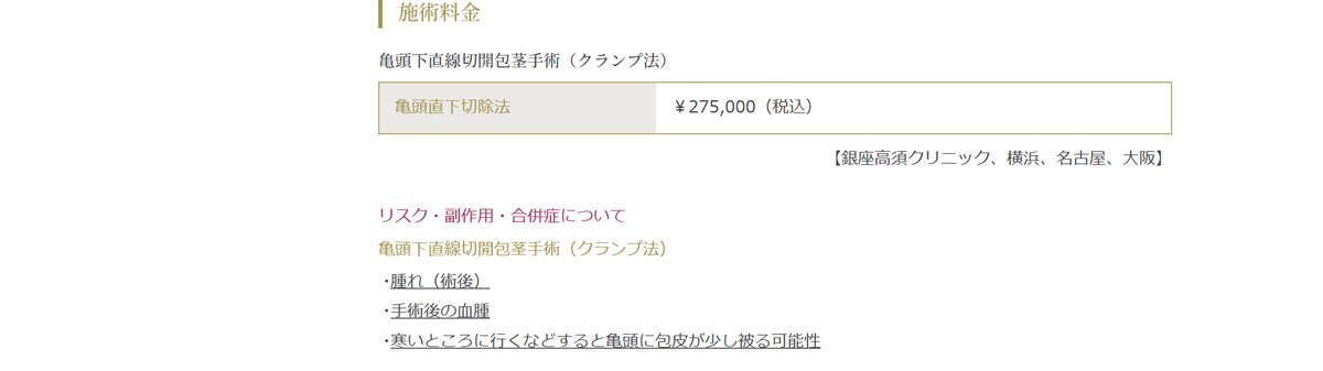 高須クリニックの割引・追加料金の条件(公式サイト)