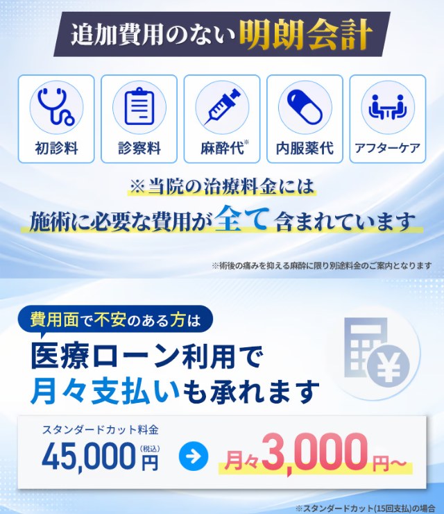メンズライフクリニックの治療料金に含まれる費用と医療ローンの目安（公式LP）